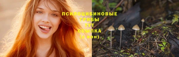 COCAINE Снежинск