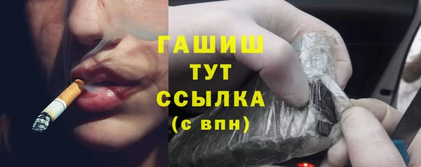 индика Верея