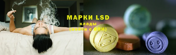 mdpv Снежногорск