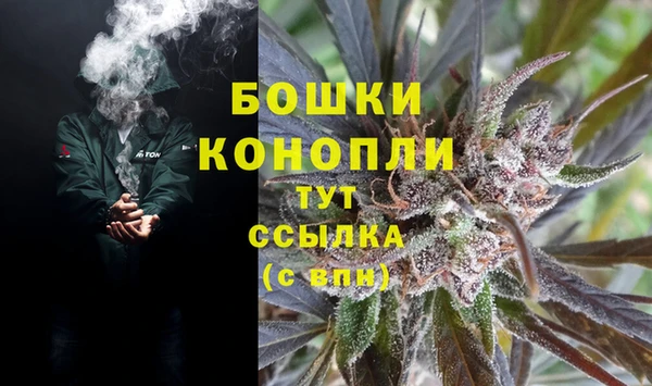 прущие грибы Верхнеуральск