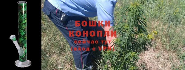 индика Верея
