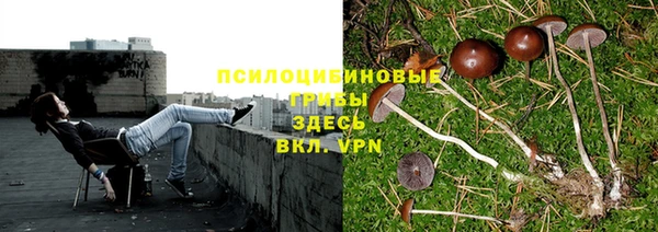 не бодяженный Верхний Тагил