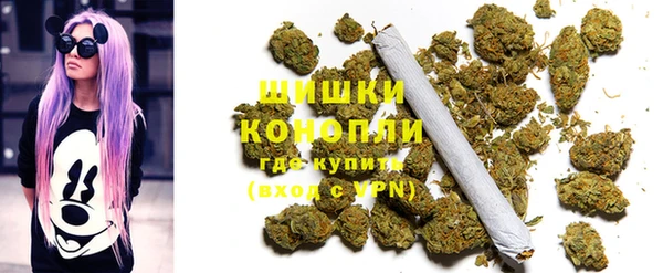 прущие грибы Верхнеуральск