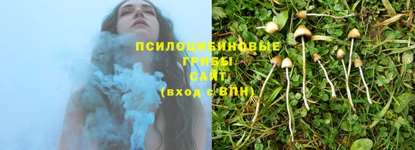 индика Верея