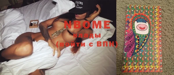 индика Верея