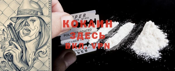 индика Верея