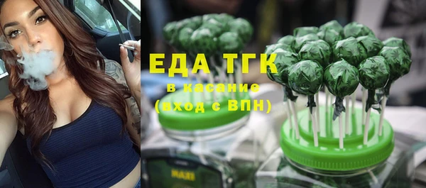 индика Верея