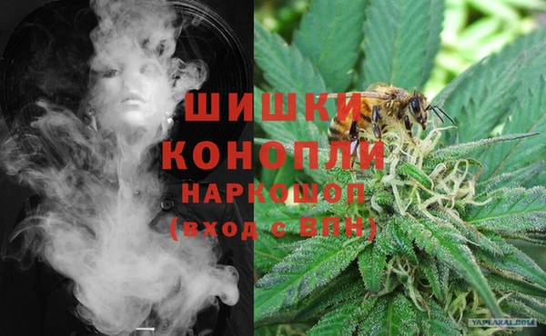индика Верея