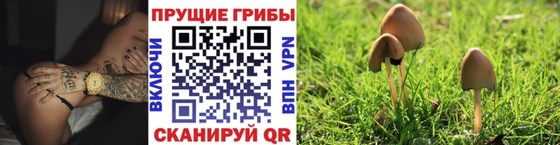 Галлюциногенные грибы Cubensis  Сочи 